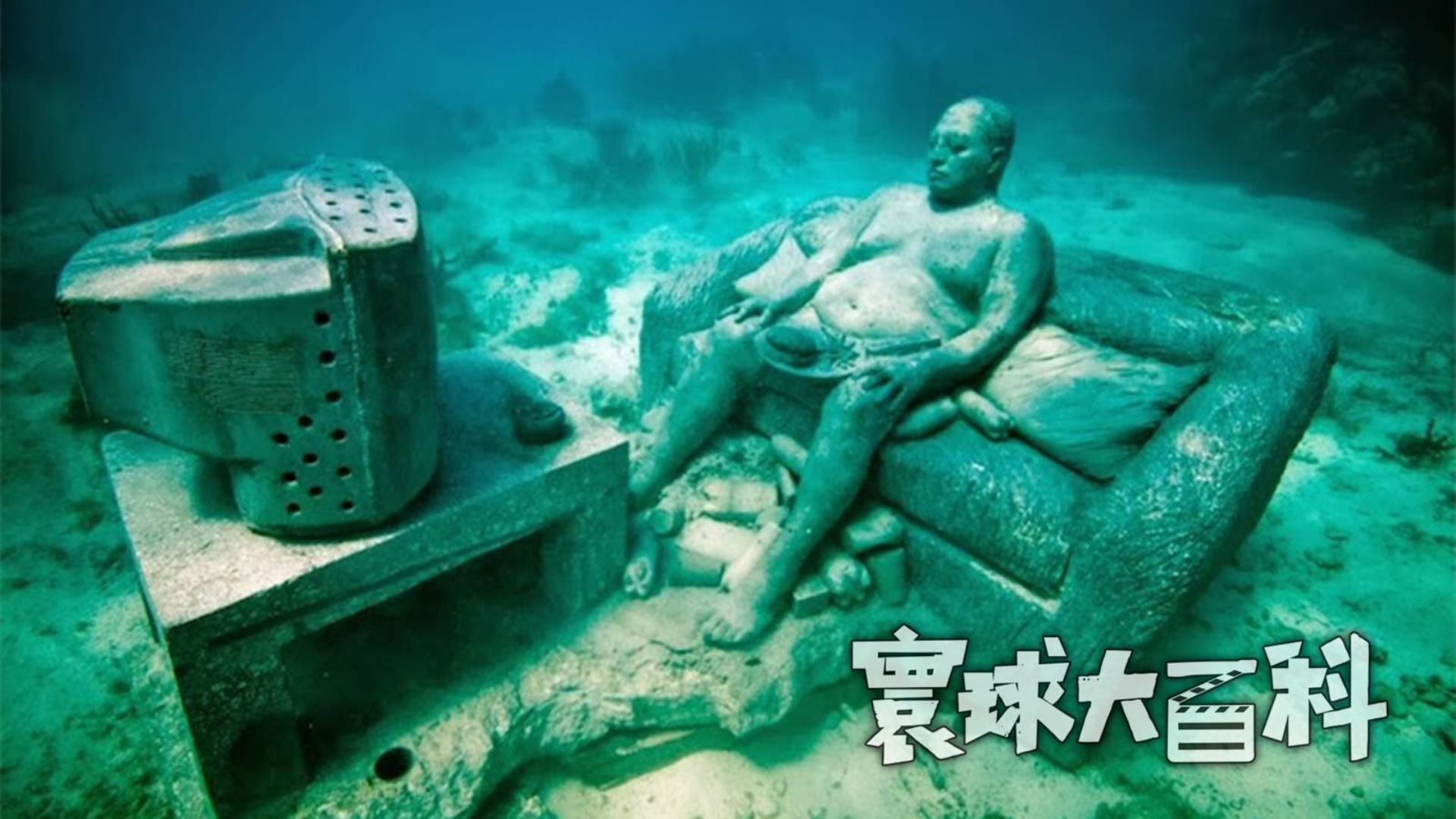 水下沉思者!世界各地的海底,有一群不会说话的环保主义者【寰球大百科343】